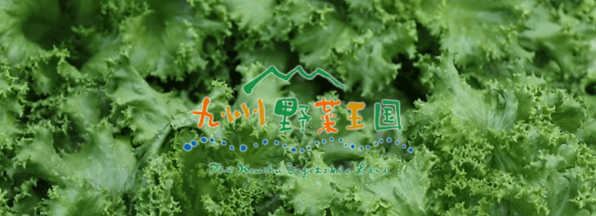 九州野菜王国